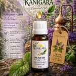 Nilam – Kanigara Essential Oil